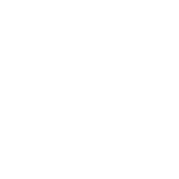 Ska1